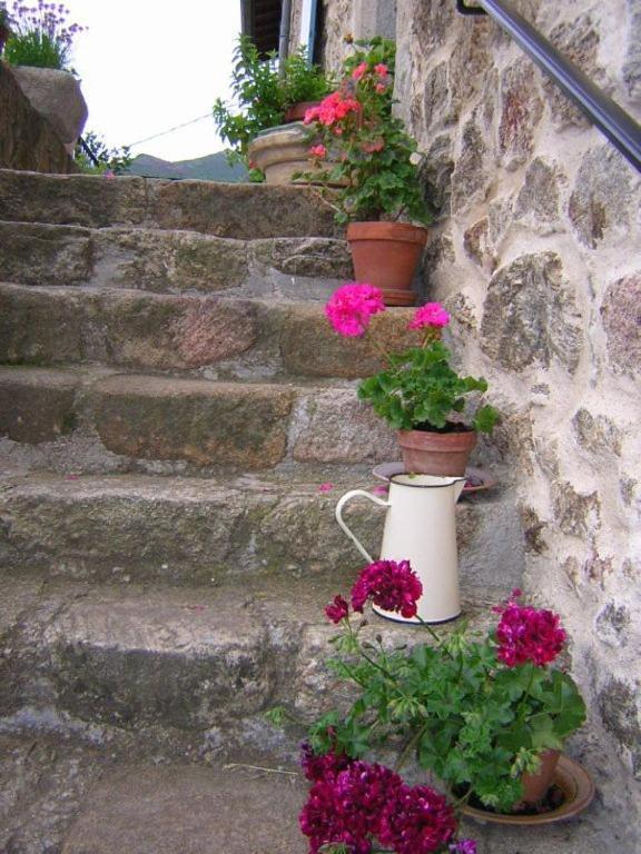 Mas Casta Nea Bed & Breakfast Thueyts Exterior photo